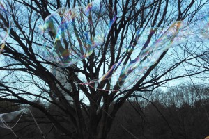 大きなシャボン玉♪